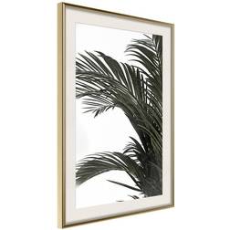 Arkiio Affisch Jungle Treasures [Poster] 40x60 Poster